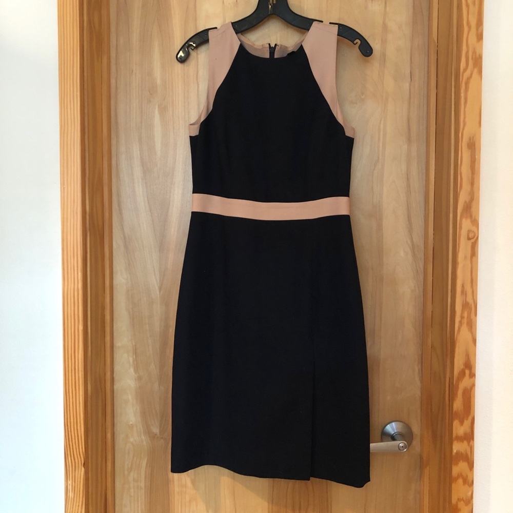 J. Crew Navy & Beige Tailored Dress Size 4